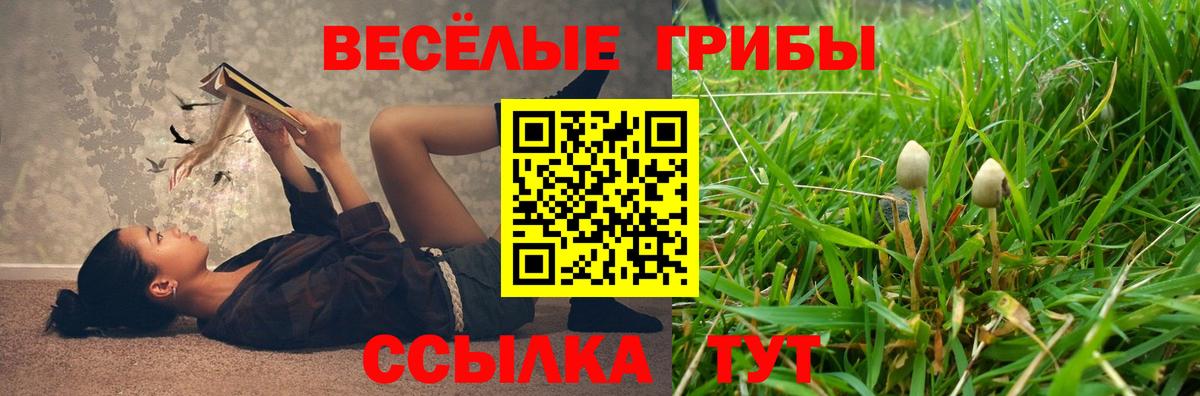 Псилоцибиновые грибы прущие грибы Томск