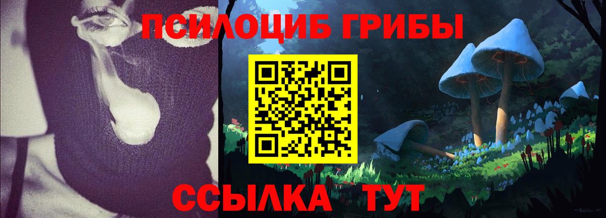 Томск  Галлюциногенные грибы Psilocybine cubensis  Галлюциногенные грибы мицелий  купить закладку  Вход с VPN 